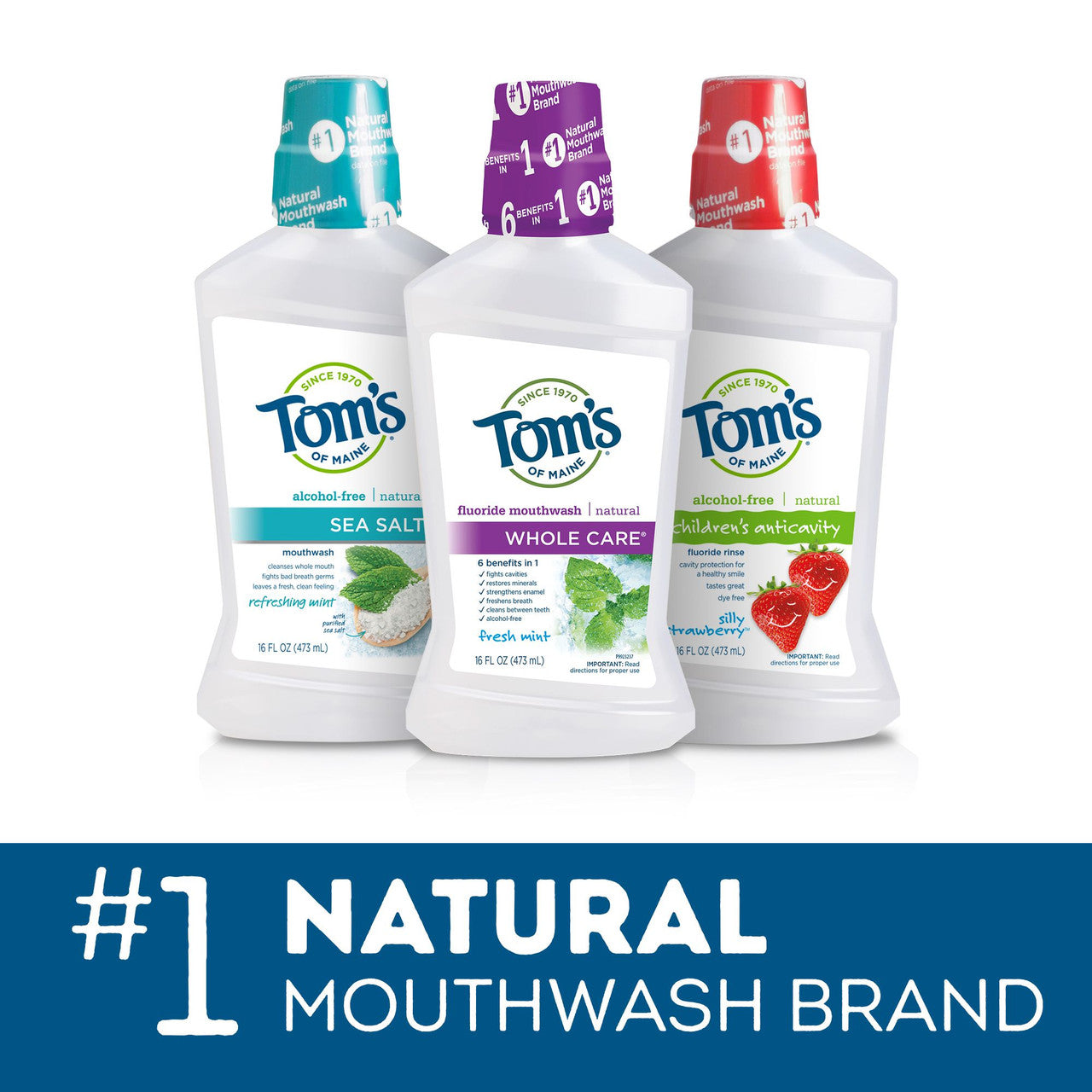 TOMS FRSH MNT WHOLE CARE ( 1 X 16 OZ   )-7