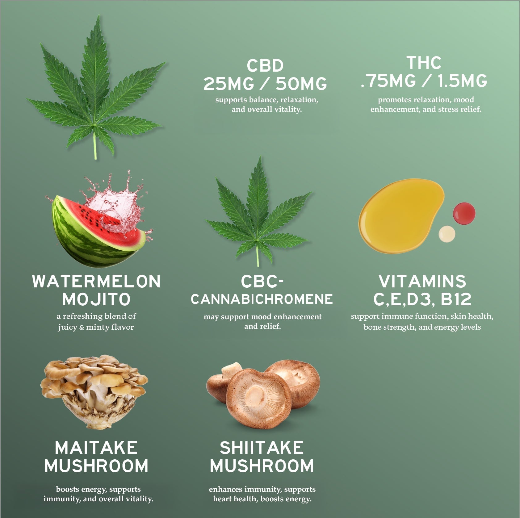 20-Pack: CBD-Multi Vitamin Gummies-2