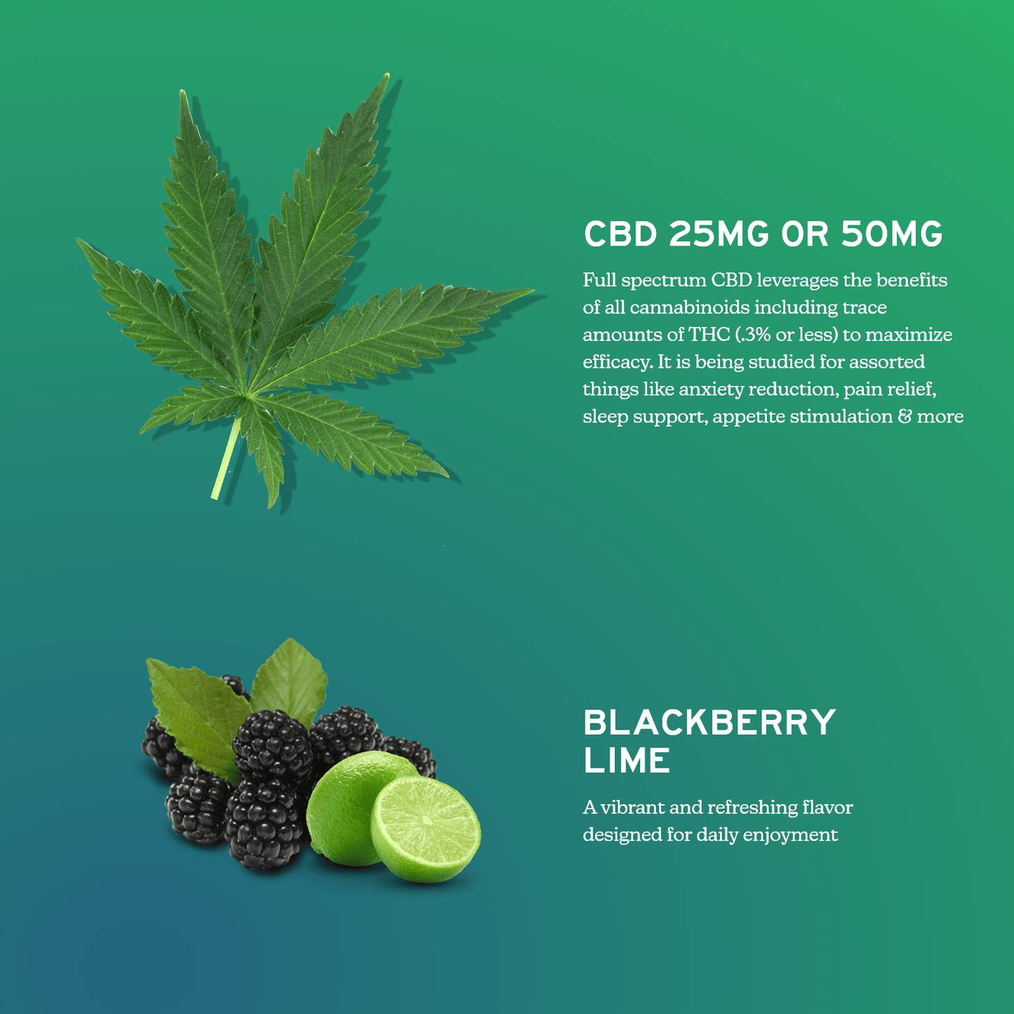 CBD Gummies for Daily Support - Full-Spectrum-2