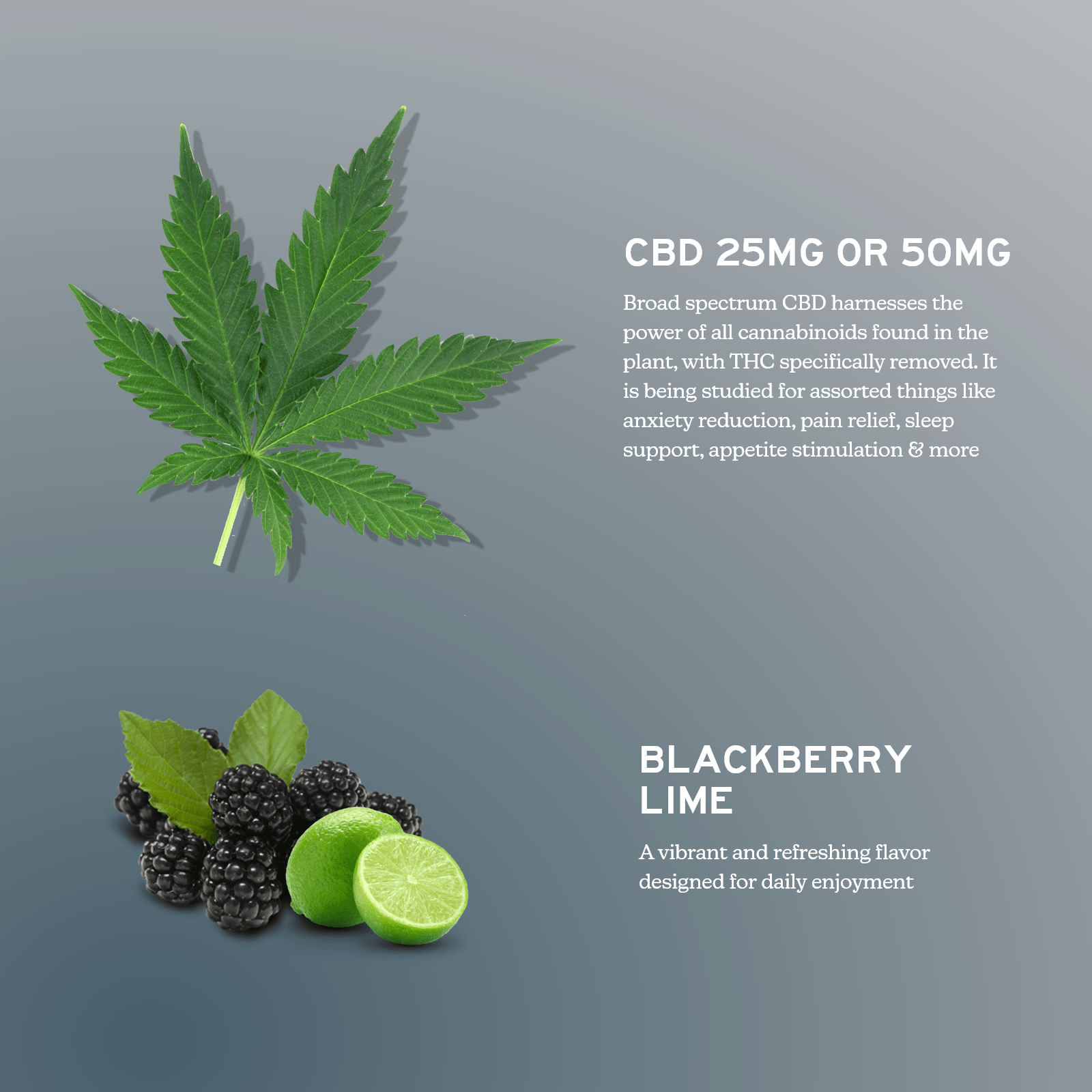 Broad Spectrum CBD Gummies - THC Free-2