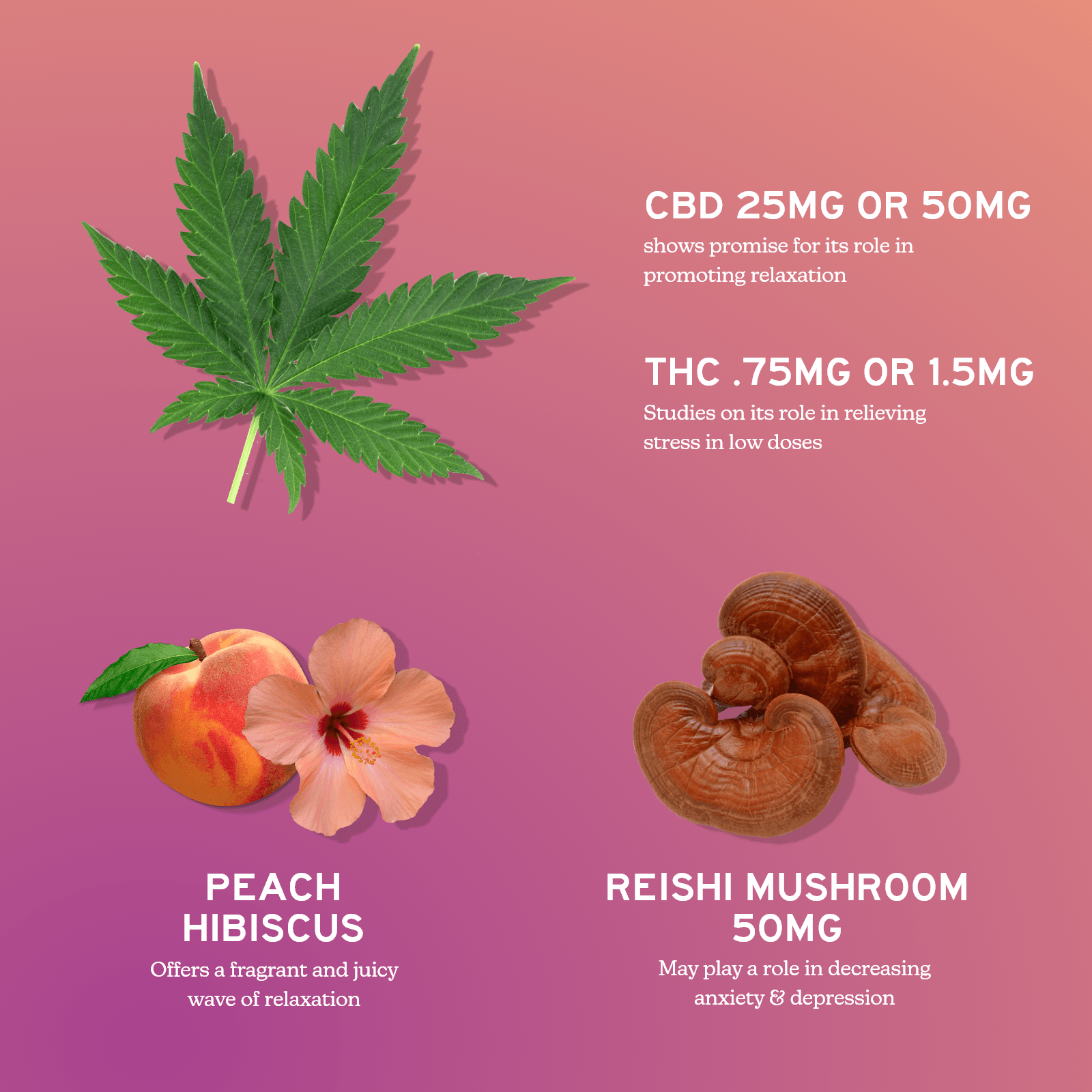 CBD Gummies For Stress - Full Spectrum + Mushroom-2