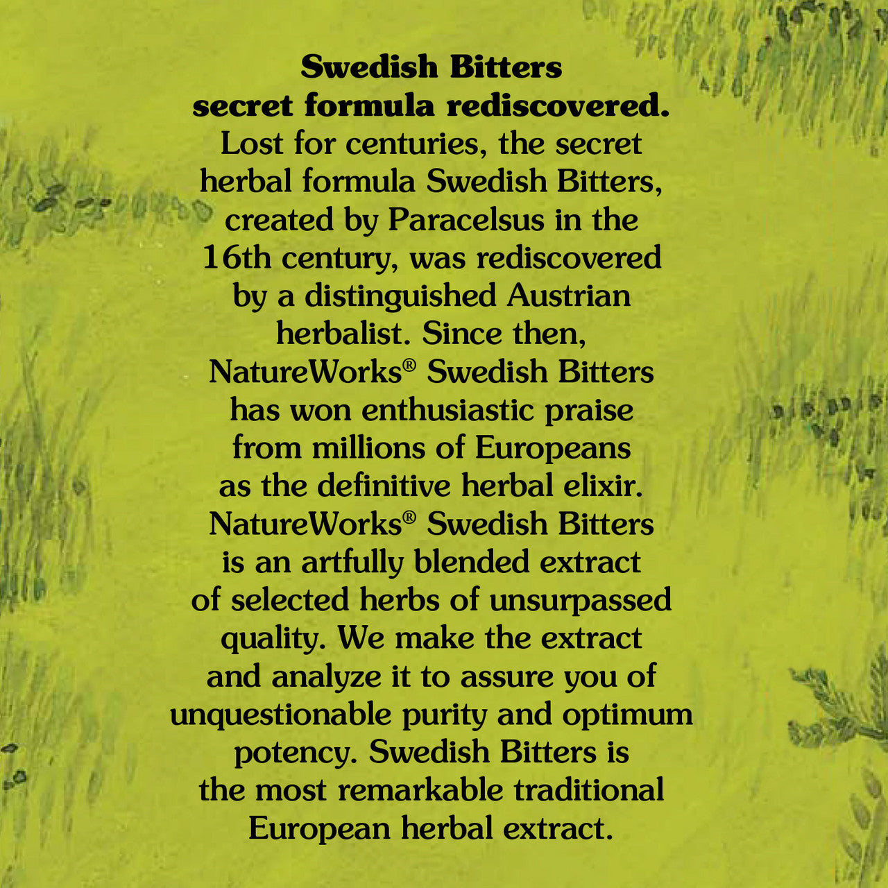 Natureworks Swedish Bitters Liquid Extract (1x8.45 Oz)-2